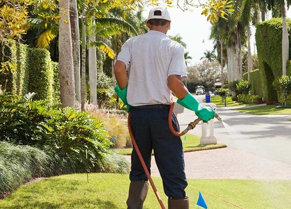 About Bradgate IA Pest Control